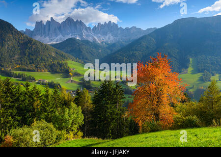 Val di Funes, Puez Olde parco naturale, Trentino Alto Adige, Dolomiti, Alpi, Italia Foto Stock