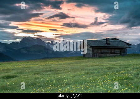 Alpe di Siusi / Seiser Alm, Dolomiti, Alto Adige, Italia, Sunrise sull Alpe di Siusi / Seiser Alm, sullo sfondo le Odle Foto Stock