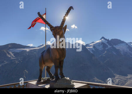 Europa Austria, Carinzia, Alti Tauri, Glockner, un gruppo stambecco statua in bronzo nei pressi di Kaiser Franz Josefs haus, sullo sfondo la Grossgockner Foto Stock