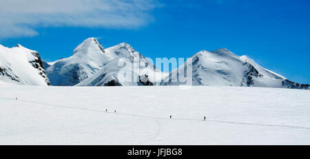 Gli alpinisti salire a Monte Rosa (gobba di Rollin), Valle d'Aosta, Italia, Europa Foto Stock