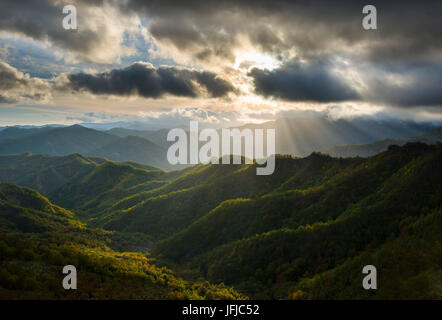 I raggi di luce sulle foreste in Appennino dopo una tempesta, il Parco Nazionale delle Foreste Casentinesi NP, Emilia Romagna NP, Italia Foto Stock