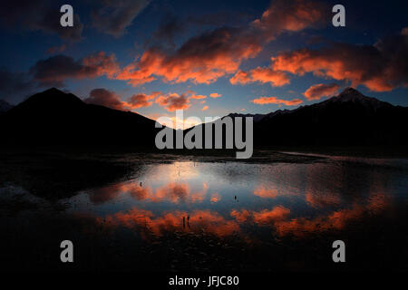 Dawn con le nuvole colorate in bassa Valtellina, la riserva naturale del Pian di Spagna, Lombardia, Italia Europa Foto Stock