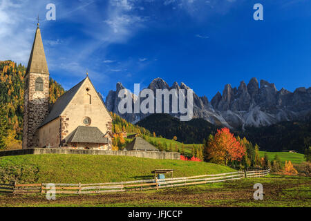 Chiesa della Maddalena immerso nei colori dell'autunno, sullo sfondo le Odle montagne, Val di Funes, Alto Adige Foto Stock