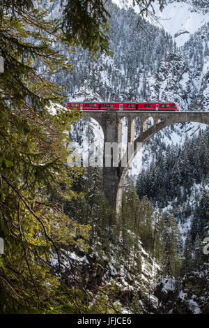 Il trenino rosso sul Wiesener Viadukt circondato da boschi, in Engadina, Cantone dei Grigioni, Svizzera, Europa Foto Stock