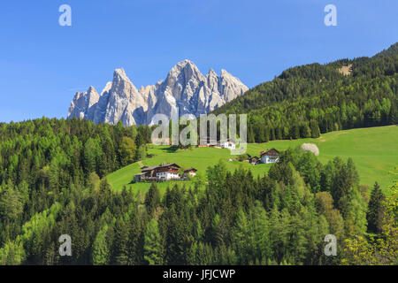 Le Odle in background potenziata da verdi boschi Val di Funes, Alto Adige Dolomiti Italia Europa Foto Stock