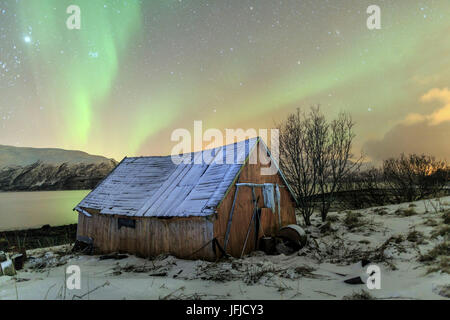 Le luci del nord si illumina la cabina in legno Svensby Alpi Lyngen Tromsø Lapponia Norvegia Europa Foto Stock