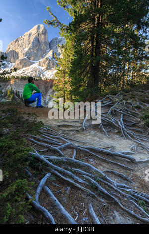 Escursionista nei boschi si ammira il Sass de Putia, il Passo delle Erbe, Puez Odle Alto Adige Dolomiti Italia Europa Foto Stock