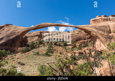 Landscape Arch, Arches National Park, Moab, Grand County, Utah, STATI UNITI D'AMERICA, Foto Stock