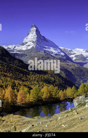 Il Cervino dal lago Grindjisee, in autunno, Zermatt, Svizzera, Europa Foto Stock