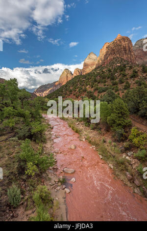 Fiume vergine dopo una improvvisa inondazione, Parco Nazionale Zion, uragano, Washington County, Utah, STATI UNITI D'AMERICA, Foto Stock