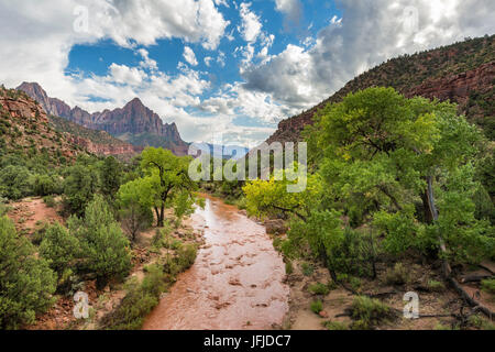 Fiume vergine dopo una improvvisa inondazione, Parco Nazionale Zion, uragano, Washington County, Utah, STATI UNITI D'AMERICA, Foto Stock