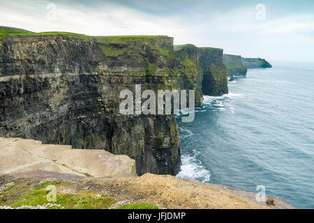 Scogliere di Moher, Liscannor, Munster, Co Clare, Irlanda, Europa Foto Stock