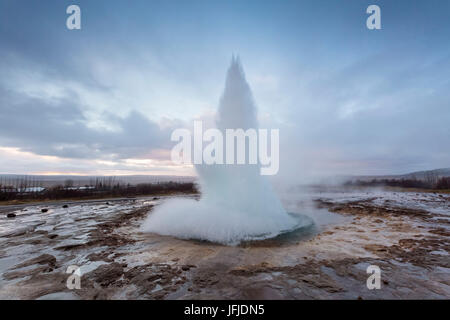 Strokkur Geyser eruzione all'alba, Haukadalur area geotermica, Haukadalur, Arnessysla, Sudurland, Islanda, Europa Foto Stock