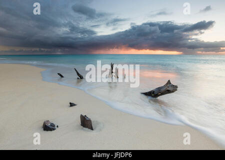 Caraibi tramonto telai tronchi di alberi sulla spiaggia Ffryers Antigua e Barbuda Leeward Islands West Indies Foto Stock