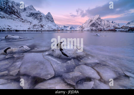 Il colore rosa del tramonto del sole e del mare frozen circondano i villaggi di pescatori Reine Nordland Isole Lofoten in Norvegia Europa Foto Stock