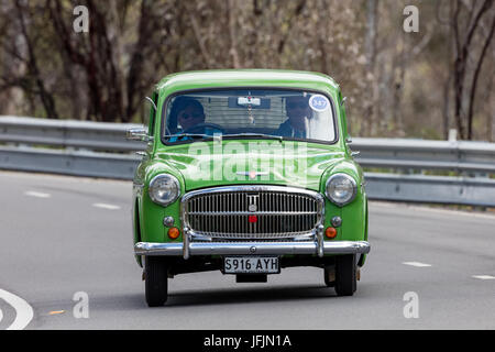 L'annata 1954 Hillman Minx berlina guida su strade di campagna vicino alla città di Birdwood, Sud Australia. Foto Stock