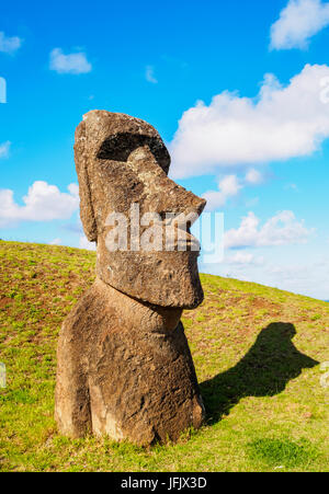 Moai alla cava sul versante del Rano Raraku Vulcano, Parco Nazionale di Rapa Nui, Isola di Pasqua, Cile Foto Stock