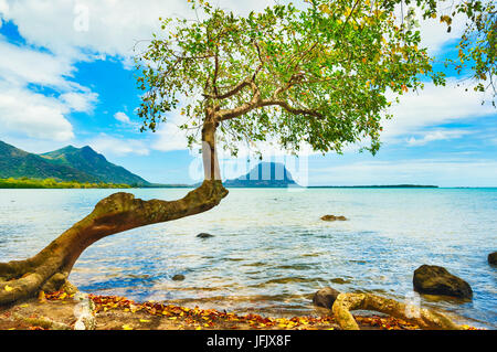 Seascape. Le Morne su uno sfondo Foto Stock
