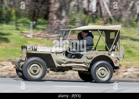 L'annata 1943 Ford Jeep Utility guida su strade di campagna vicino alla città di Birdwood, Sud Australia. Foto Stock