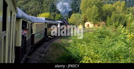 Treno a vapore,Cevennes,Francia Foto Stock