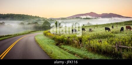 La laminazione di nebbia attraverso Blue Ridge Parkway terre di fattoria Foto Stock