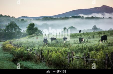 La laminazione di nebbia attraverso Blue Ridge Parkway terre di fattoria Foto Stock