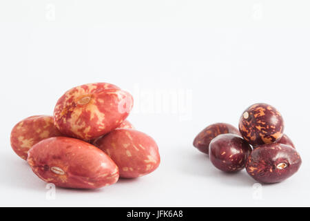 Confronto tra asciutto e bagnato fradicio fagioli su sfondo bianco Foto Stock