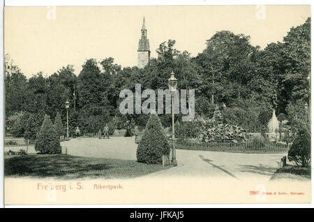 02966-Freiberg-1903-Albertpark-Brück & Sohn Kunstverlag Foto Stock