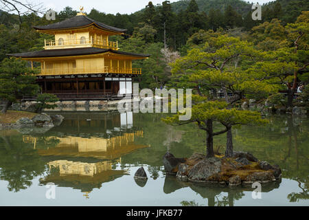 Il tempio d'oro, Kinkaku-ji di Kyoto in Giappone Foto Stock