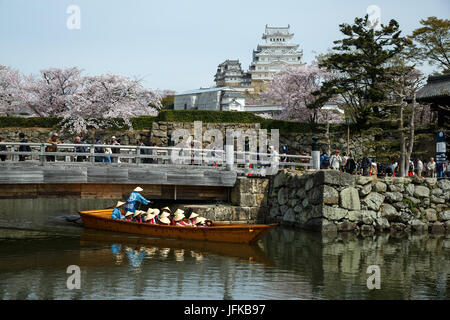 Fiori Ciliegio al castello di Himeji in Giappone Foto Stock