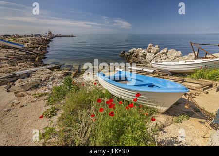 Sulla sabbia di mare Foto Stock