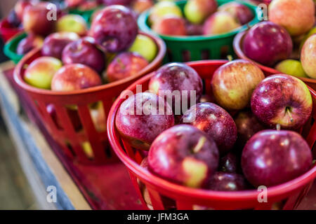 Macro closeup di molti mele rosse nel mercato degli agricoltori in cesti sul display Foto Stock