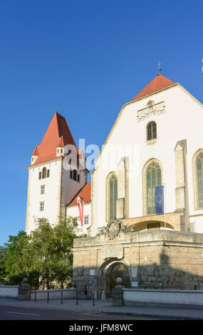 Castello o Theresianische Militärakademie (Accademia Militare), Wiener Neustadt, Wiener Alpen, Alpi Niederösterreich, Austria Inferiore, Austria Foto Stock