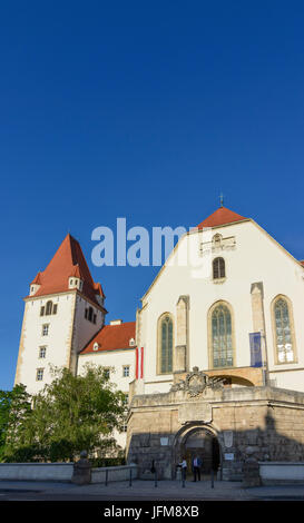 Castello o Theresianische Militärakademie (Accademia Militare), Wiener Neustadt, Wiener Alpen, Alpi Niederösterreich, Austria Inferiore, Austria Foto Stock