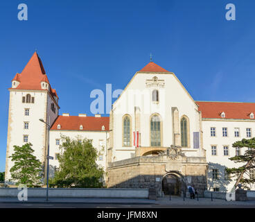 Castello o Theresianische Militärakademie (Accademia Militare), Wiener Neustadt, Wiener Alpen, Alpi Niederösterreich, Austria Inferiore, Austria Foto Stock