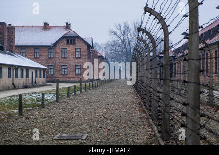 Auschwitz, Oswiecim, Birkenau, Brzezinka, Polonia, a nord-est Europa, recinto elettrico nell'ex campo di concentramento nazista, Foto Stock