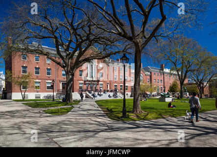 Stati Uniti d'America, Rhode Island, la provvidenza, Brown University, Ivy League campus universitari Foto Stock