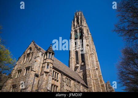 Stati Uniti d'America, Connecticut, New Haven, Yale University, Harkness Tower Foto Stock