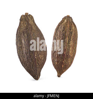 Due pod di cacao su sfondo bianco Foto Stock