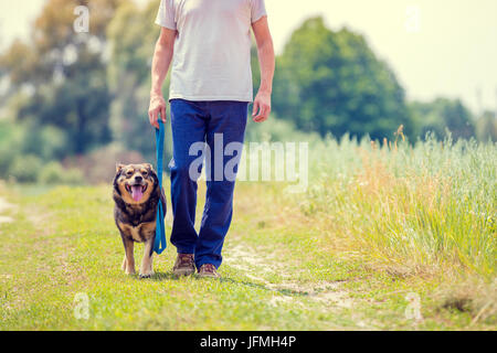 Uomo con cane al guinzaglio andando su strada sterrata nel campo in estate Foto Stock