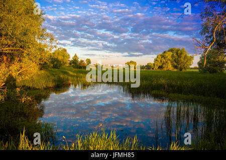 Magico tramonto sul lago. Foschia mattutina, paesaggio rurale, deserto, sentimento mistico Foto Stock