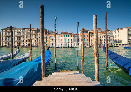 Gondole ormeggiate lungo le acque verdi di Venezia Canal Grande Foto Stock