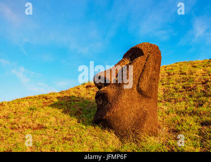 Moai alla cava sul versante del Rano Raraku Vulcano di sunrise, Parco Nazionale di Rapa Nui, Isola di Pasqua, Cile Foto Stock