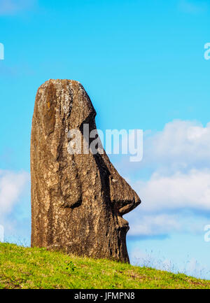 Moai alla cava sul versante del Rano Raraku Vulcano, Parco Nazionale di Rapa Nui, Isola di Pasqua, Cile Foto Stock