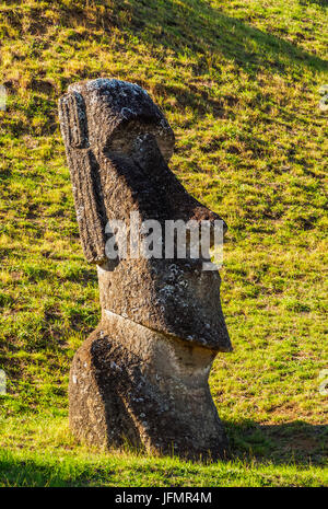 Moai alla cava sul versante del Rano Raraku Vulcano, Parco Nazionale di Rapa Nui, Isola di Pasqua, Cile Foto Stock