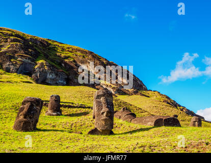 Moais alla cava sul versante del Rano Raraku Vulcano, Parco Nazionale di Rapa Nui, Isola di Pasqua, Cile Foto Stock