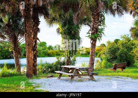 Una bella area picnic lungo le rive del Myakka River il godetevi con la famiglia e gli amici. Foto Stock