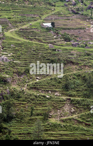 La zig-zag sentieri e terrazze sulla collina andando attraverso le piantagioni di riso nella valle di Kathmandu Shivapuri Nagarjun National Park, il Nepal Foto Stock