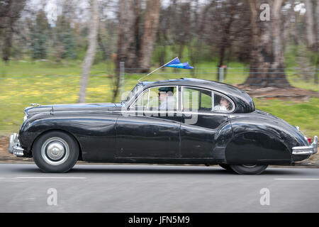 L'annata 1955 Jaguar Mk VII M salone guida su strade di campagna vicino alla città di Birdwood, Sud Australia. Foto Stock