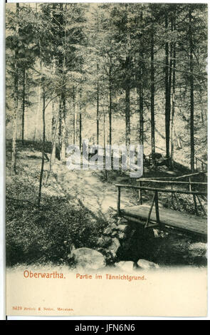 03419-Oberwartha-1903-Im Tännichtgrund-Brück & Sohn Kunstverlag Foto Stock